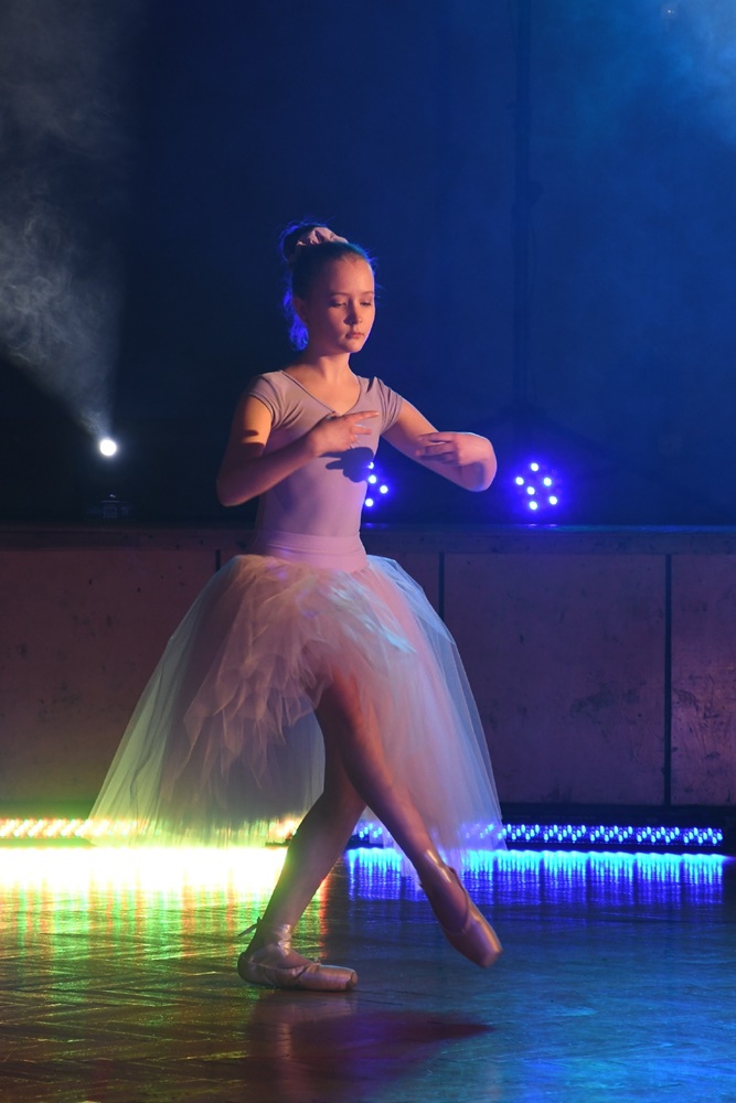 Impreza charytatywna Dzieci - Dzieciom 40