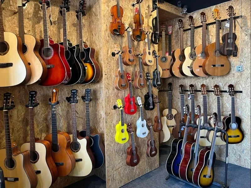 Violino