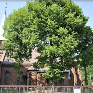 Halemba - Kościół pw. Matki Bożej Różańcowej