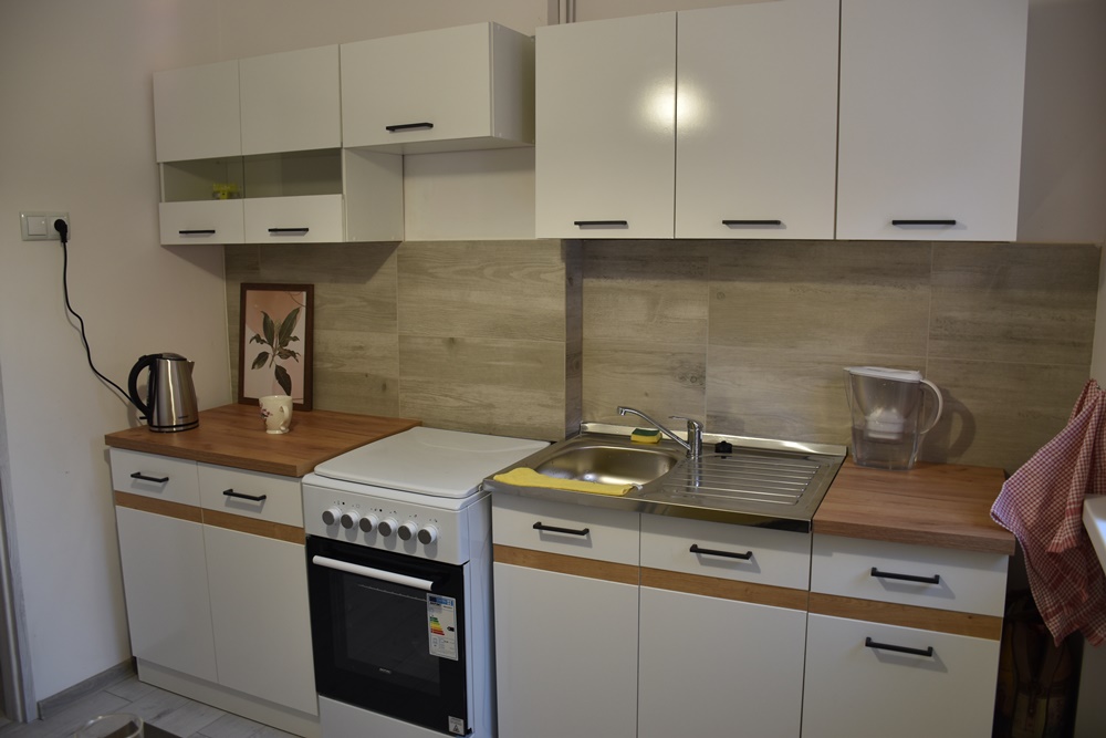 Otwarcie mieszkania treningowego w Wodzisławiu Śląskim