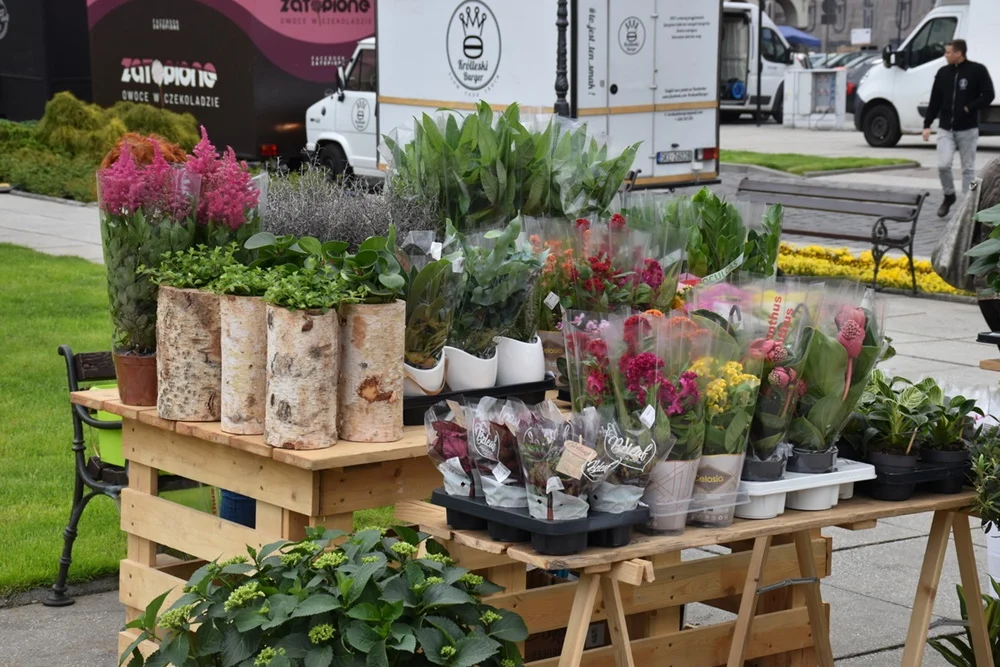 Kwiatobazar - poszukuje się sprzedawców kwiatów i sadzonek