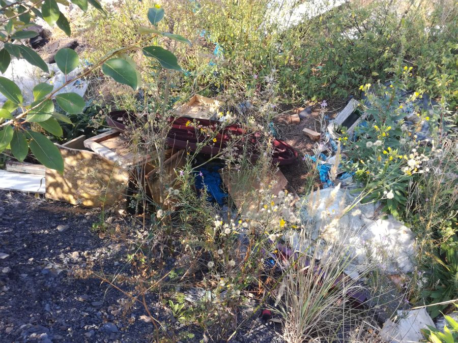 ZGK rozpoczyna wiosenne porządki