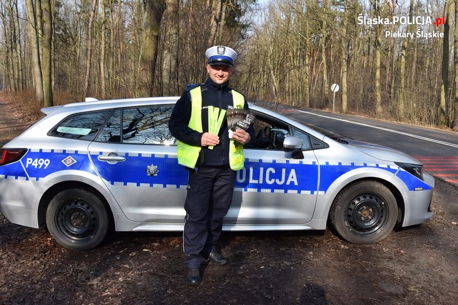 Podsumowanie działań "Bezpieczny Pieszy"