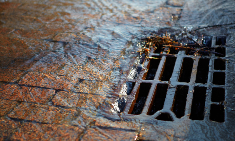 Przed nami kolejna inwestycja! Odwodnienie ul. Kraszewskiego