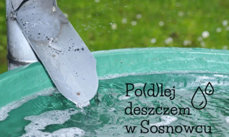 Po(d)lej deszczem w Sosnowcu