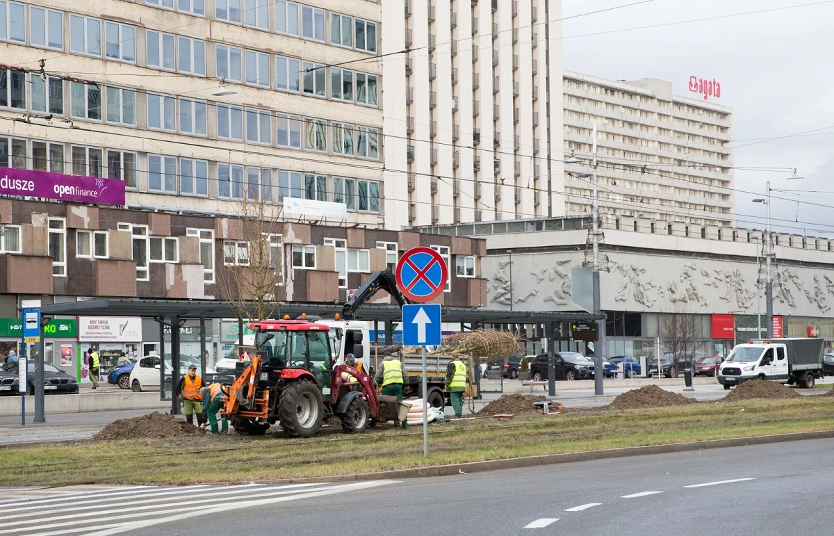 Coraz bardziej zielono! W poniedziałek ruszają kolejne nasadzenia
