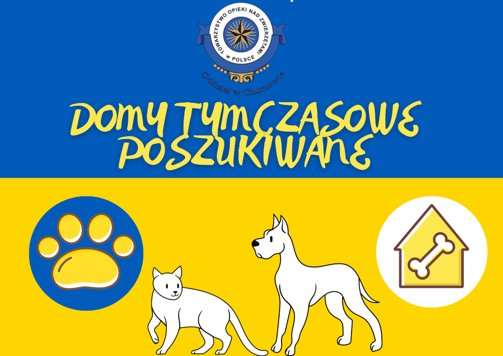 Chorzowskie schronisko szuka domów tymczasowych dla pupili z Ukrainy
