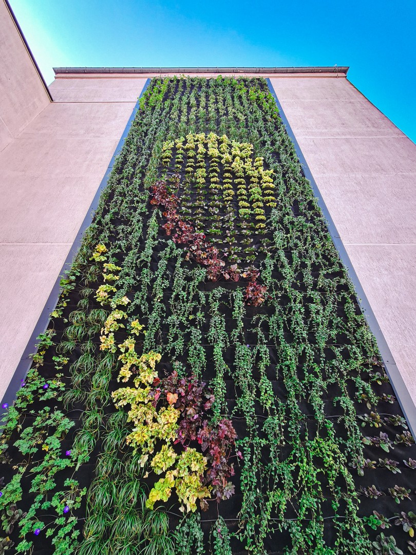 Chorzów i sąsiedzi deklarują współpracę w sprawie zielonej akupunktury