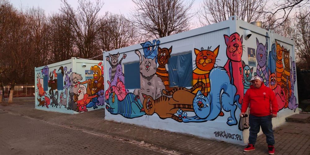 Kontenery w chorzowskim schronisku zmieniły się nie do poznania!