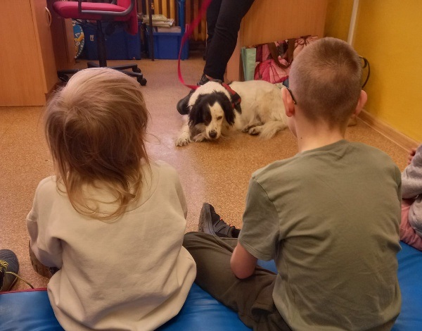 Warsztaty z dogoterapii w Szkole Podstawowej Specjalnej nr 10 
