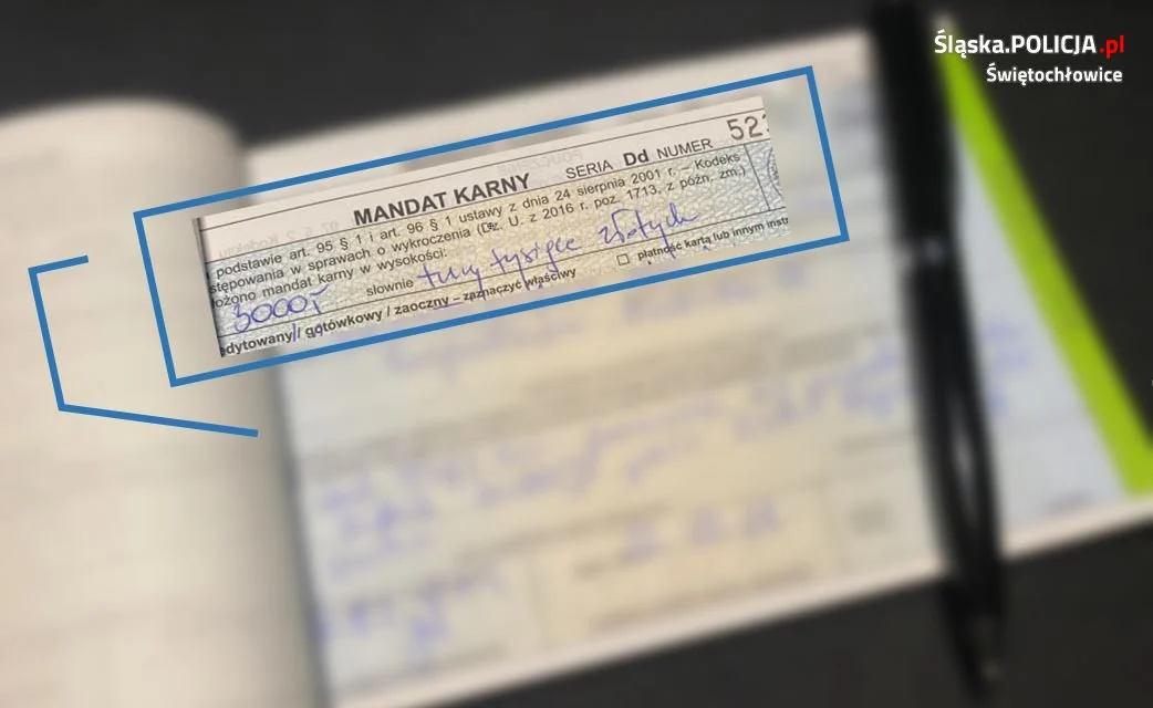 3 tys. zł mandatu dla kierującego Oplem, który nie został dopuszczony do ruchu