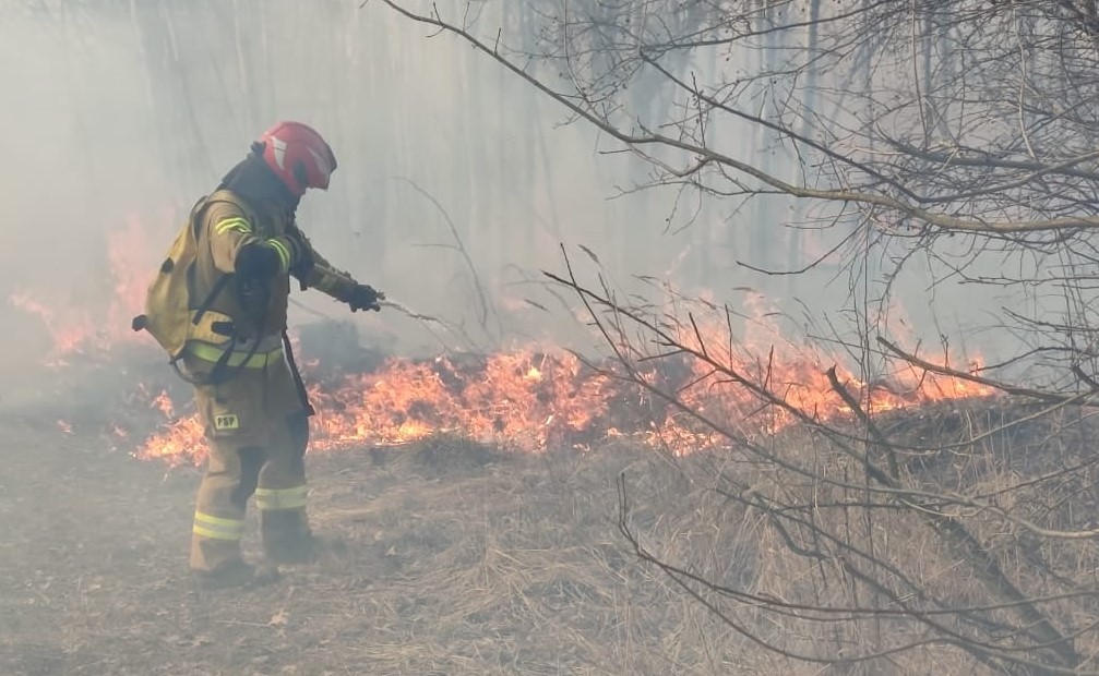 Żorscy strażacy ostrzegają przed masowymi pożarami traw i lasów. Sytuacja jest trudna