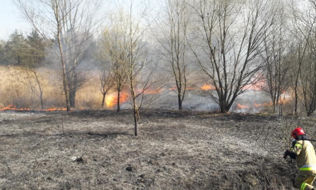 Żorscy strażacy ostrzegają przed masowymi pożarami traw i lasów. Sytuacja jest trudna