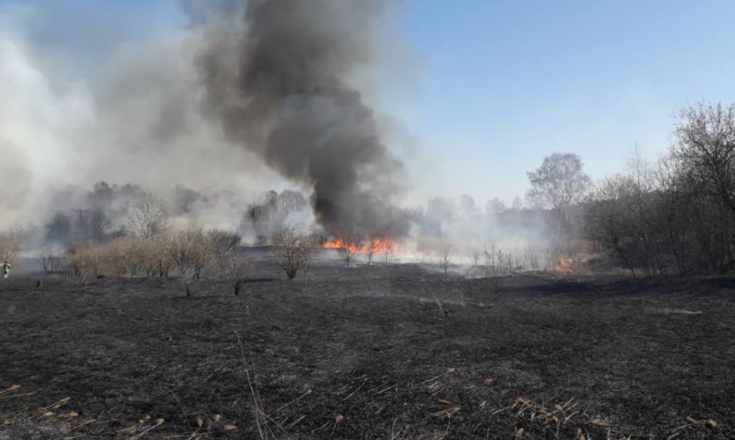 Żorscy strażacy ostrzegają przed masowymi pożarami traw i lasów. Sytuacja jest trudna