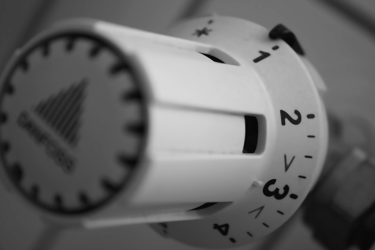 Jakie grzejniki do domu wybrać?