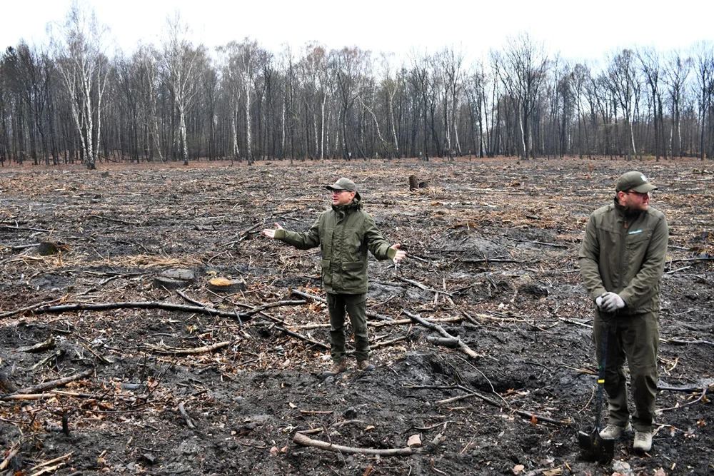 Posadź drzewko z Nadleśnictwem Katowice 2