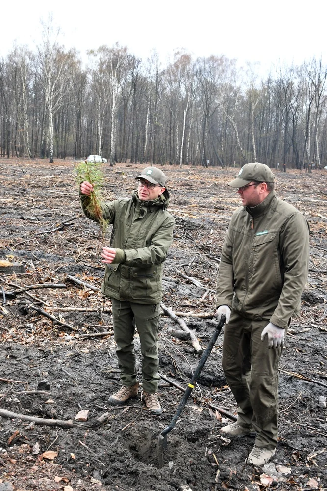 Posadź drzewko z Nadleśnictwem Katowice 3