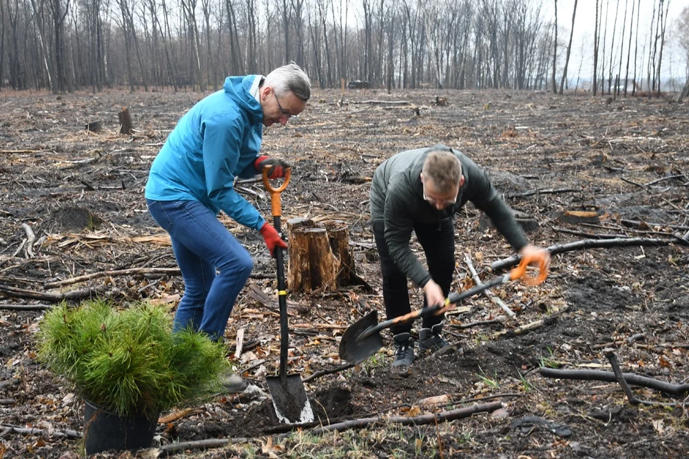 Posadź drzewko z Nadleśnictwem Katowice 4