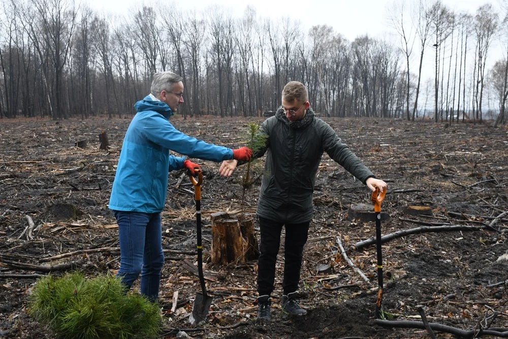 Posadź drzewko z Nadleśnictwem Katowice 5