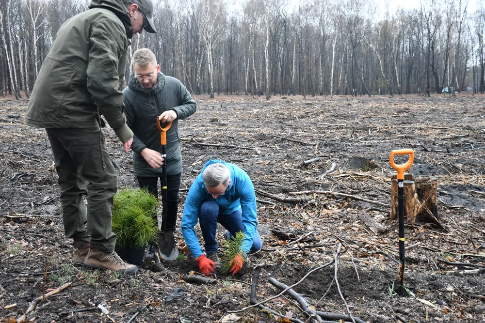 Posadź drzewko z Nadleśnictwem Katowice 6