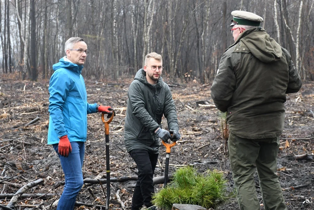 Posadź drzewko z Nadleśnictwem Katowice 10
