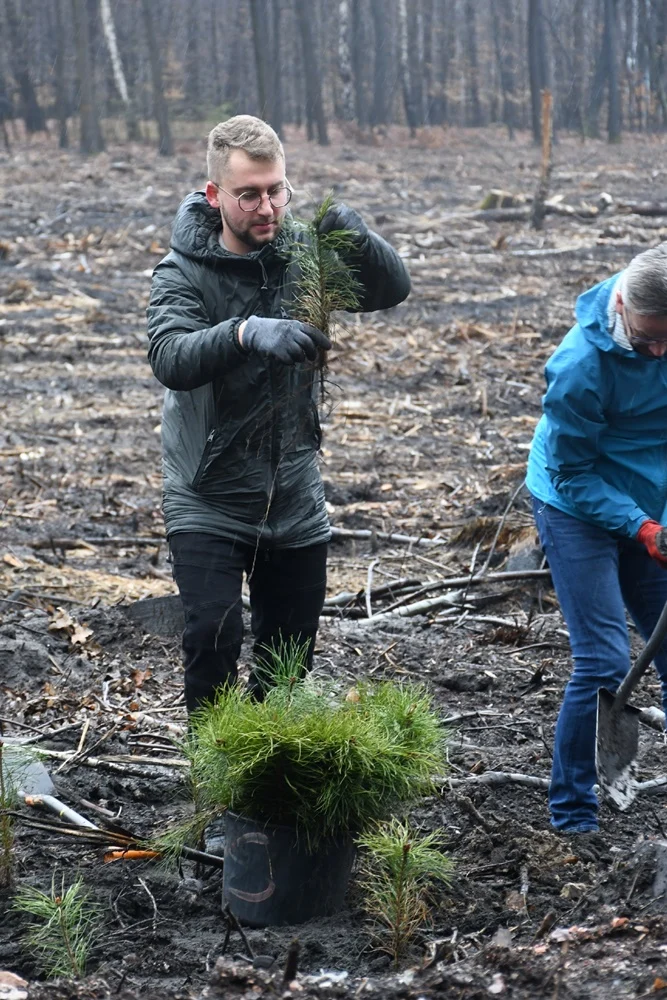 Posadź drzewko z Nadleśnictwem Katowice 14