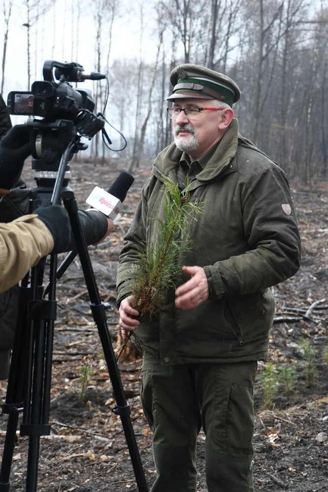 Posadź drzewko z Nadleśnictwem Katowice 15