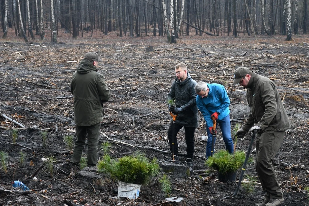 Posadź drzewko z Nadleśnictwem Katowice 16