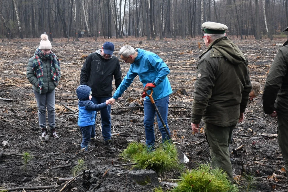 Posadź drzewko z Nadleśnictwem Katowice 17