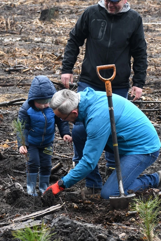 Posadź drzewko z Nadleśnictwem Katowice 18