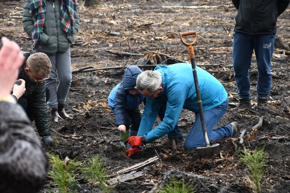 Posadź drzewko z Nadleśnictwem Katowice 19