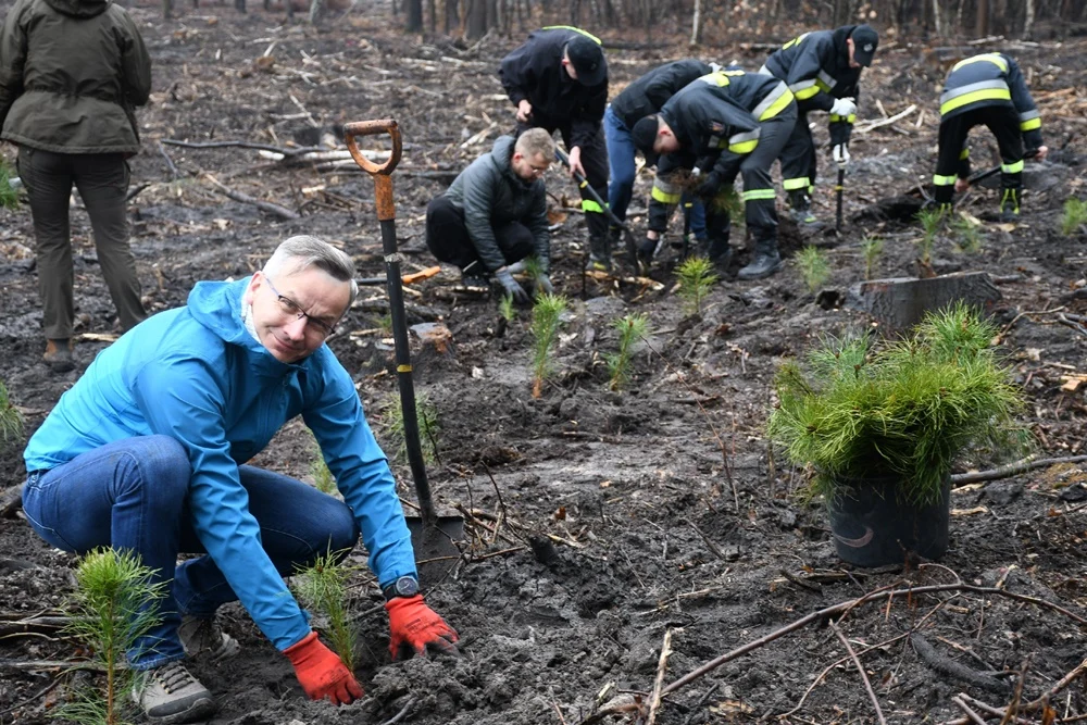 Posadź drzewko z Nadleśnictwem Katowice 20