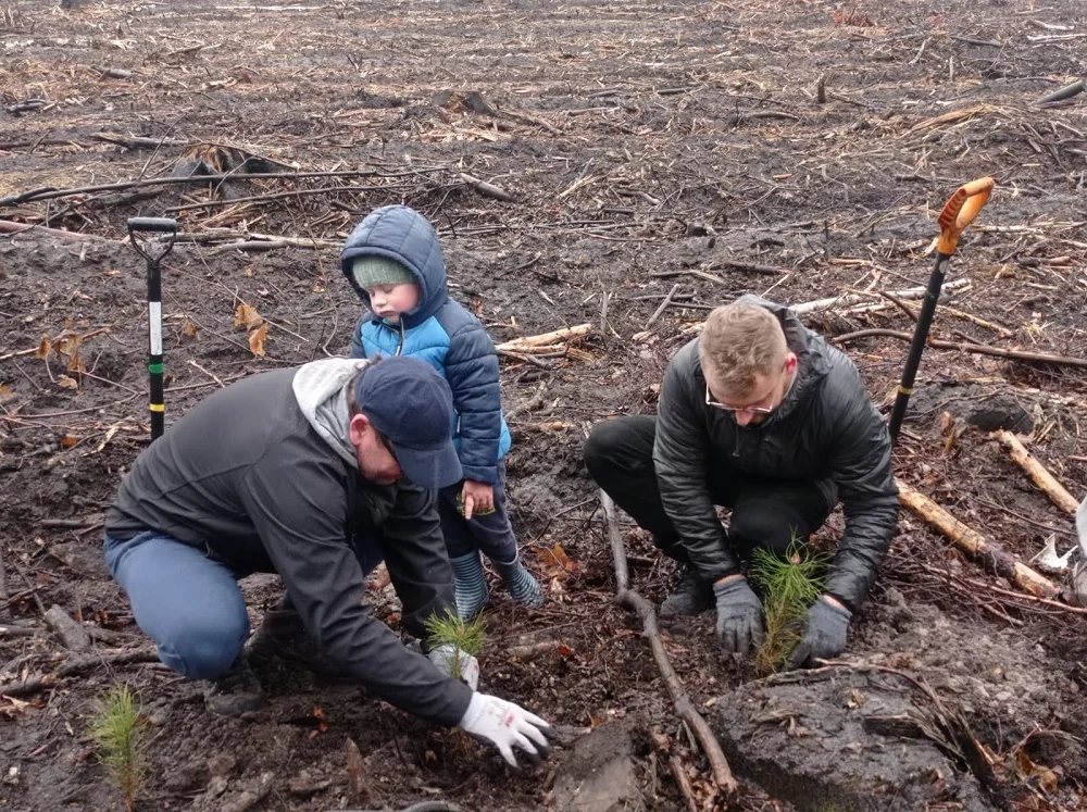 Przy ul. Skośnej w Halembie wyrośnie nowy młody las!