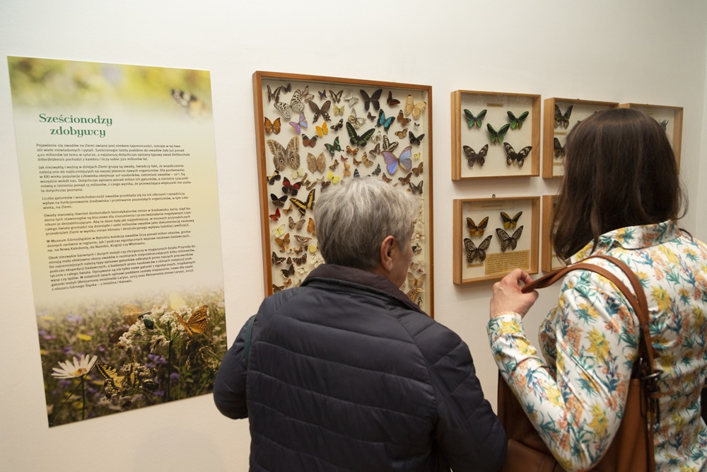 Nowa przyrodnicza wystawa w Muzeum Górnośląskim