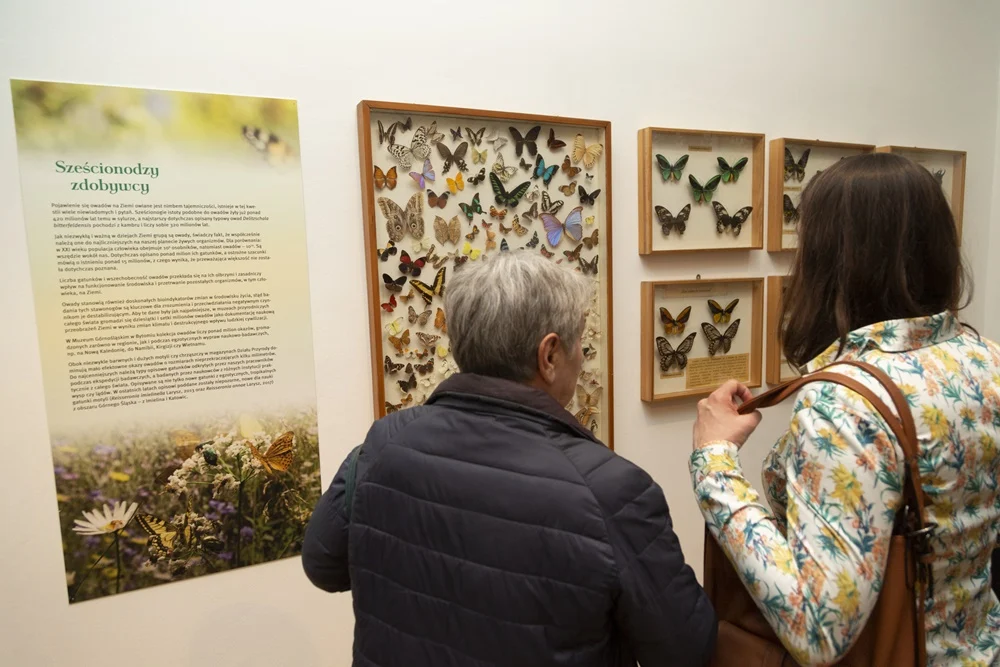 Nowa przyrodnicza wystawa w Muzeum Górnośląskim