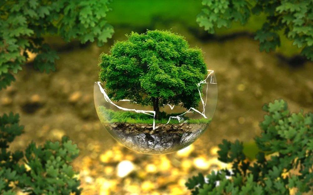 W Bytomiu odbędzie się Festiwal Dnia Ziemi