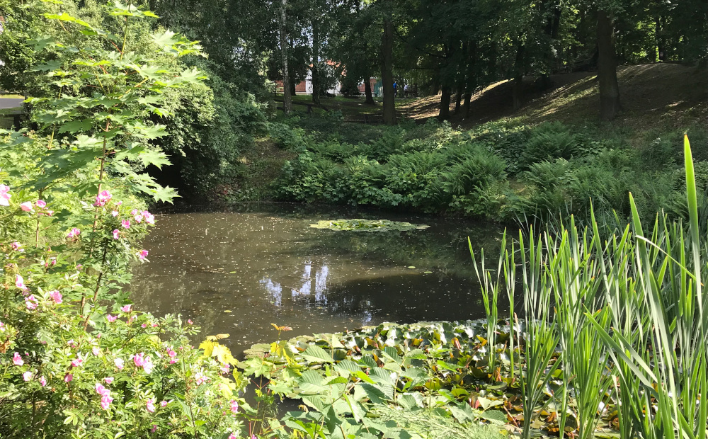 [SPROSTOWANIE] Wodny plac zabaw w Mikołowie? Są plany przekształcenia stawu na Plantach