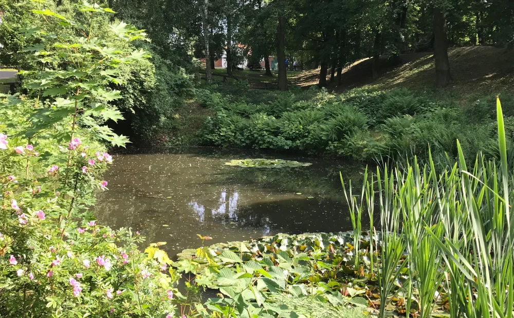 [SPROSTOWANIE] Wodny plac zabaw w Mikołowie? Są plany przekształcenia stawu na Plantach