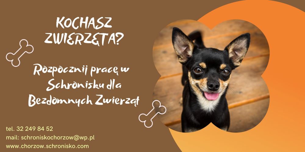 Schronisko szuka rąk do pracy!