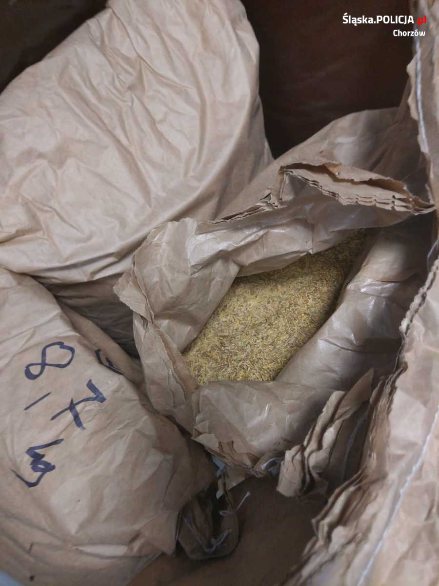 Policjanci zabezpieczyli nielegalny tytoń
