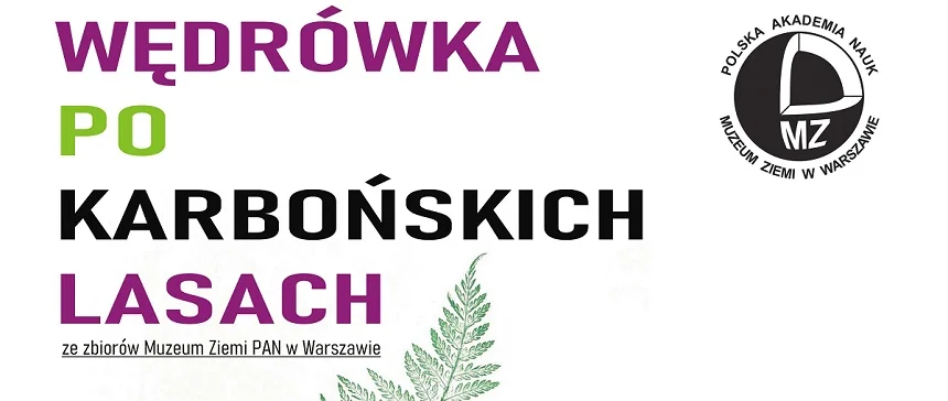 Wystawa "Wędrówka po karbońskim lesie" w Muzeum w Rudzie Śląskiej