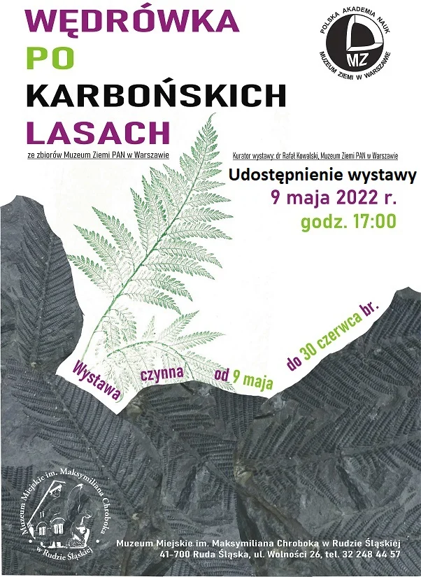 Wystawa "Wędrówka po karbońskim lesie" w Muzeum w Rudzie Śląskiej