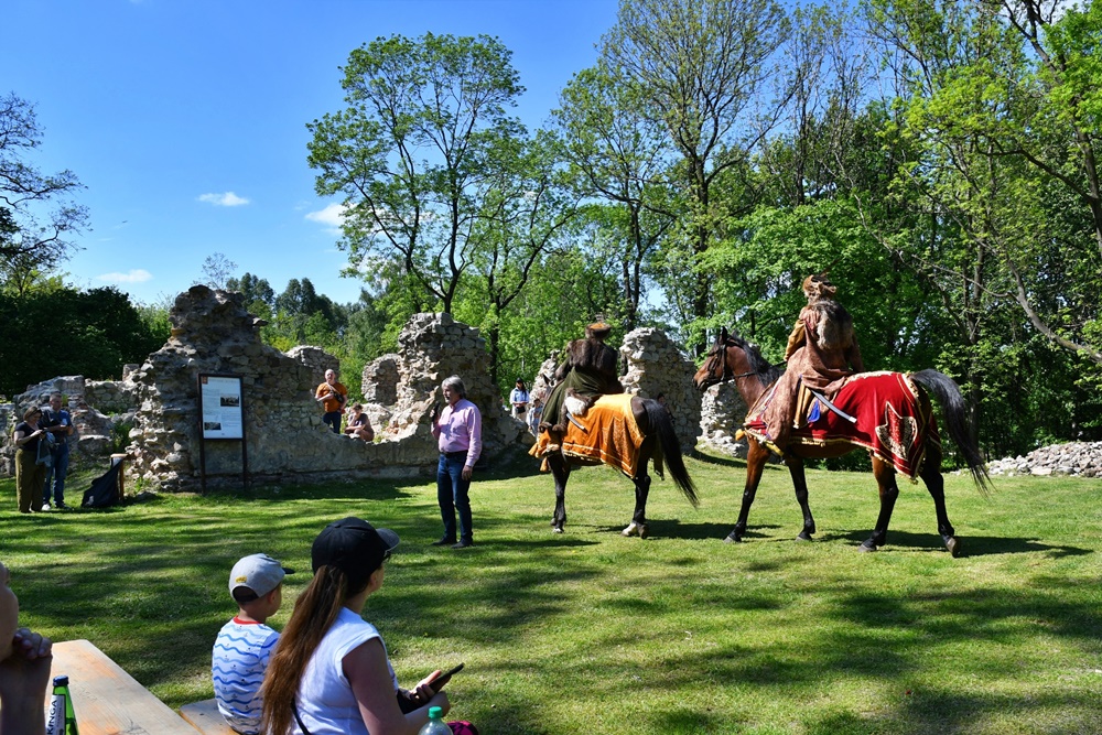 Wydarzenie w ruinach Zamku Rudzkiego 10
