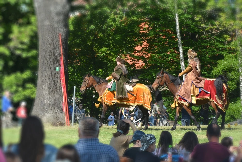 Wydarzenie w ruinach Zamku Rudzkiego 14