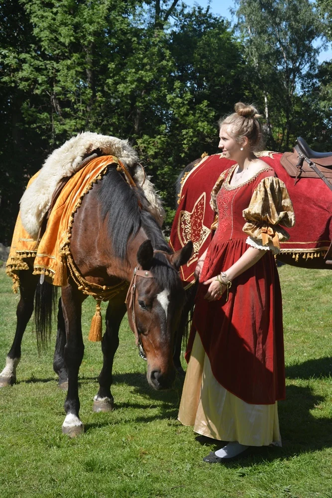 Wydarzenie w ruinach Zamku Rudzkiego 24