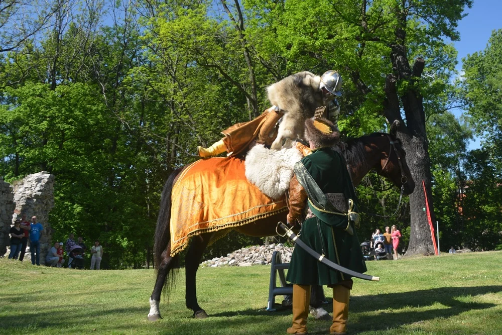 Wydarzenie w ruinach Zamku Rudzkiego 27