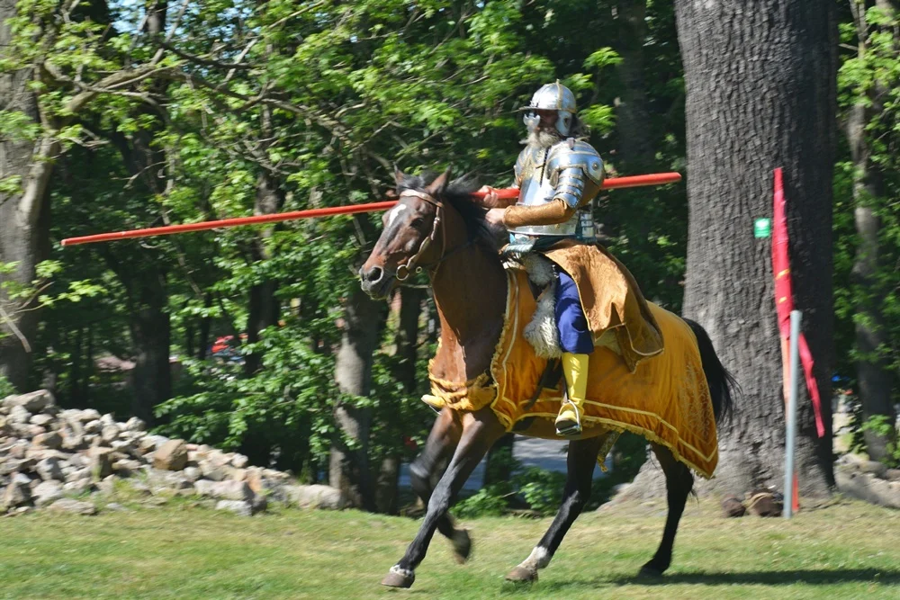 Wydarzenie w ruinach Zamku Rudzkiego 28