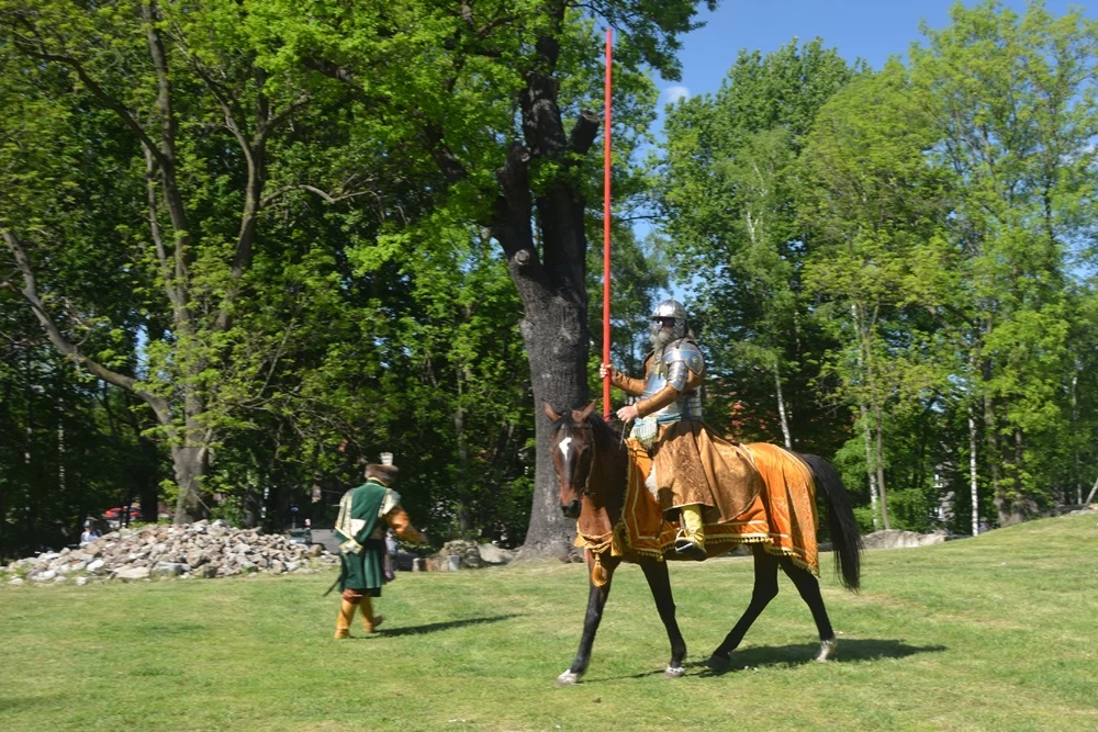 Wydarzenie w ruinach Zamku Rudzkiego 33