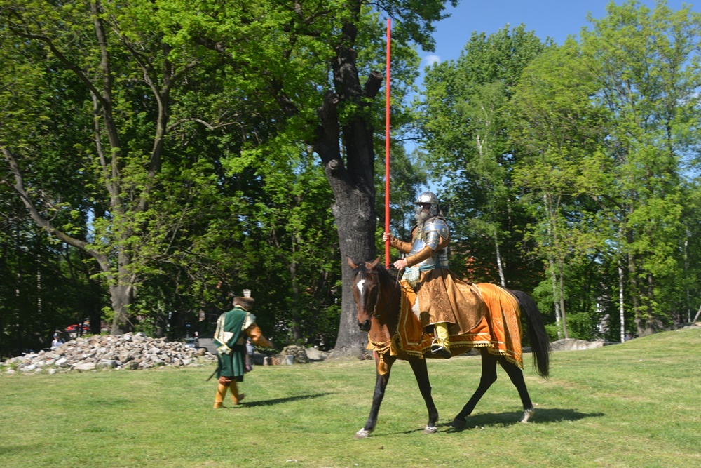 Wydarzenie w ruinach Zamku Rudzkiego 33