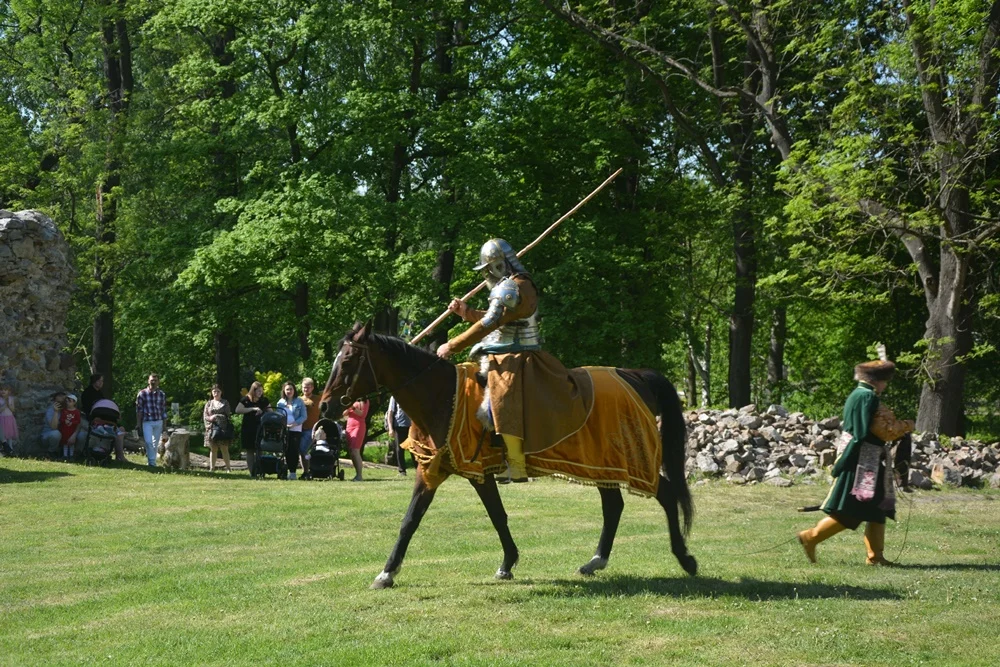 Wydarzenie w ruinach Zamku Rudzkiego 35